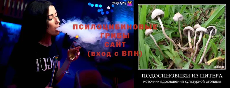 Псилоцибиновые грибы Magic Shrooms  Богучар 